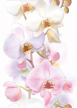Tropicana Декор Orchids (TC2M051DT) 25х35